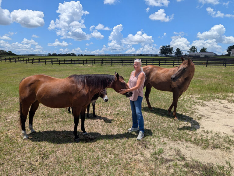 Pam providing expert farm and equine care in the Horse Capital of the World, Ocala FL